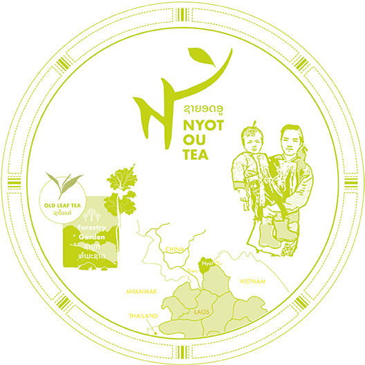Nyot-Ou-forestry-garden-old-tea-leaves